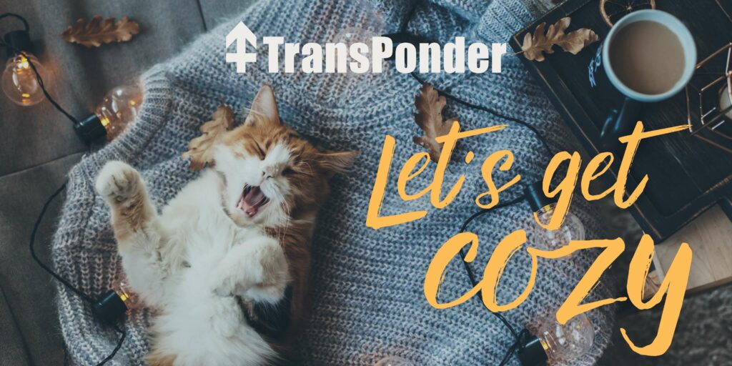 An orange cat on it's back on top of a blue sweater. The TransPonder logo is at the top with the words, Let's Get Cozy, underneath in orange